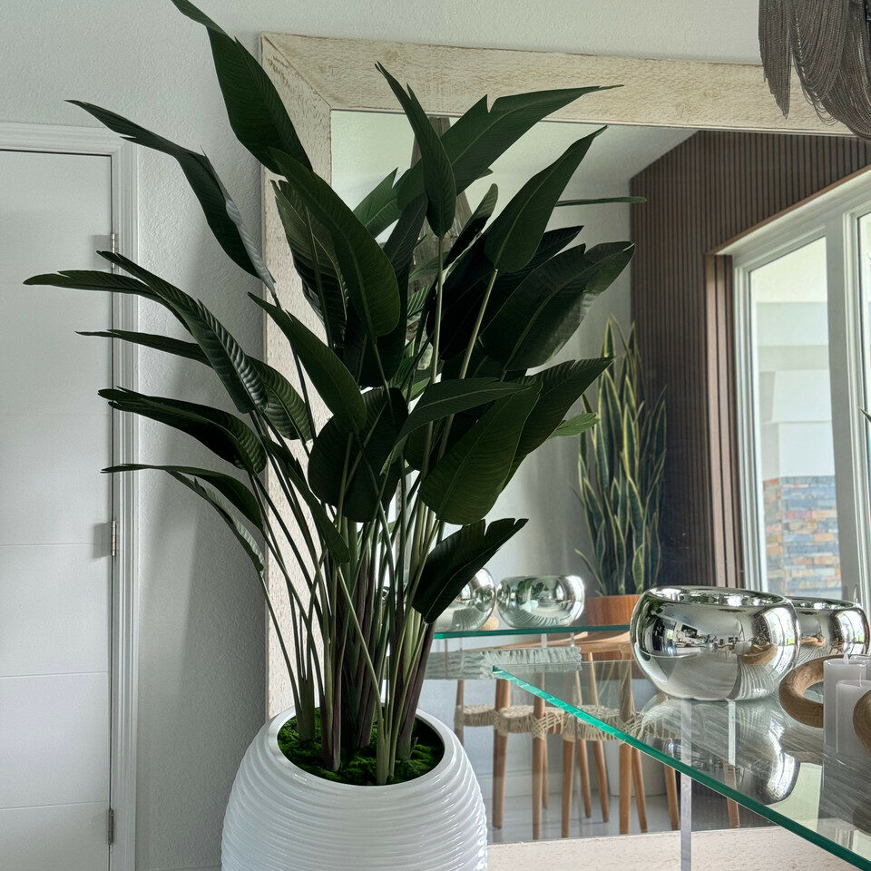 Bird of Paradise Plant in White Spiral Vase – Evervale