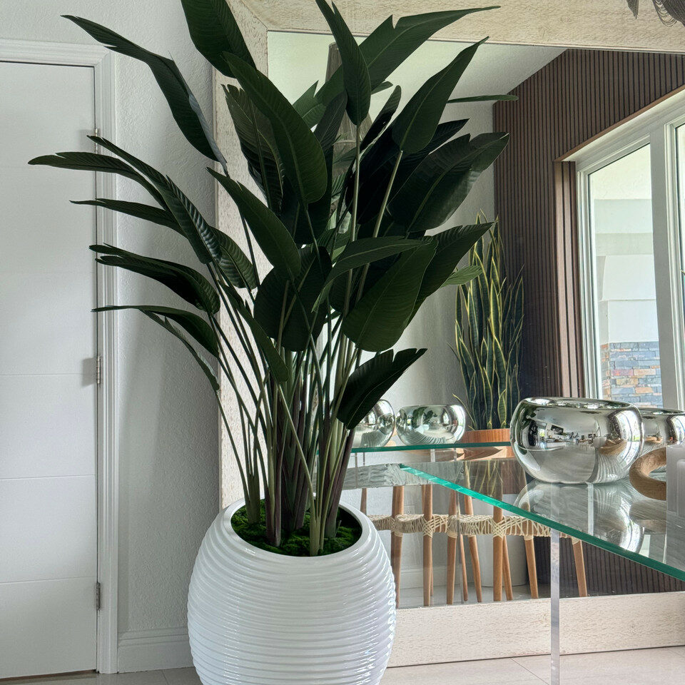Bird of Paradise Plant in White Spiral Vase – Evervale