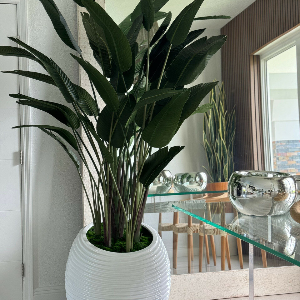 Bird of Paradise Plant in White Spiral Vase – Evervale