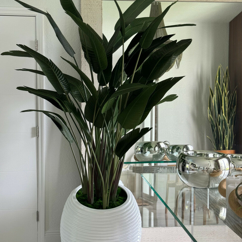 Bird of Paradise Plant in White Spiral Vase – Evervale