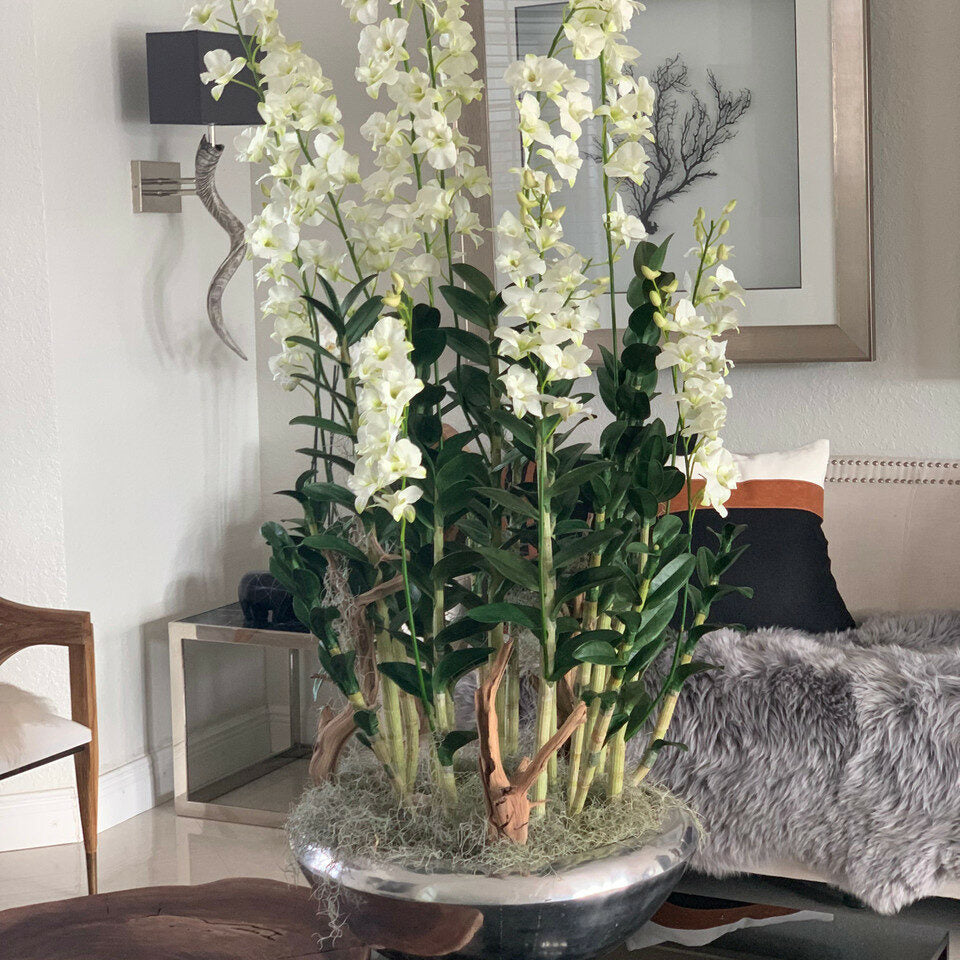 Avenue Flower Box with Dendrobium Orchids – Evervale