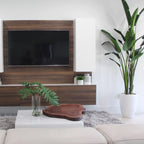 Bird of Paradise Plant (2.7 m) with Ben Planter in Glossy White – Evervale