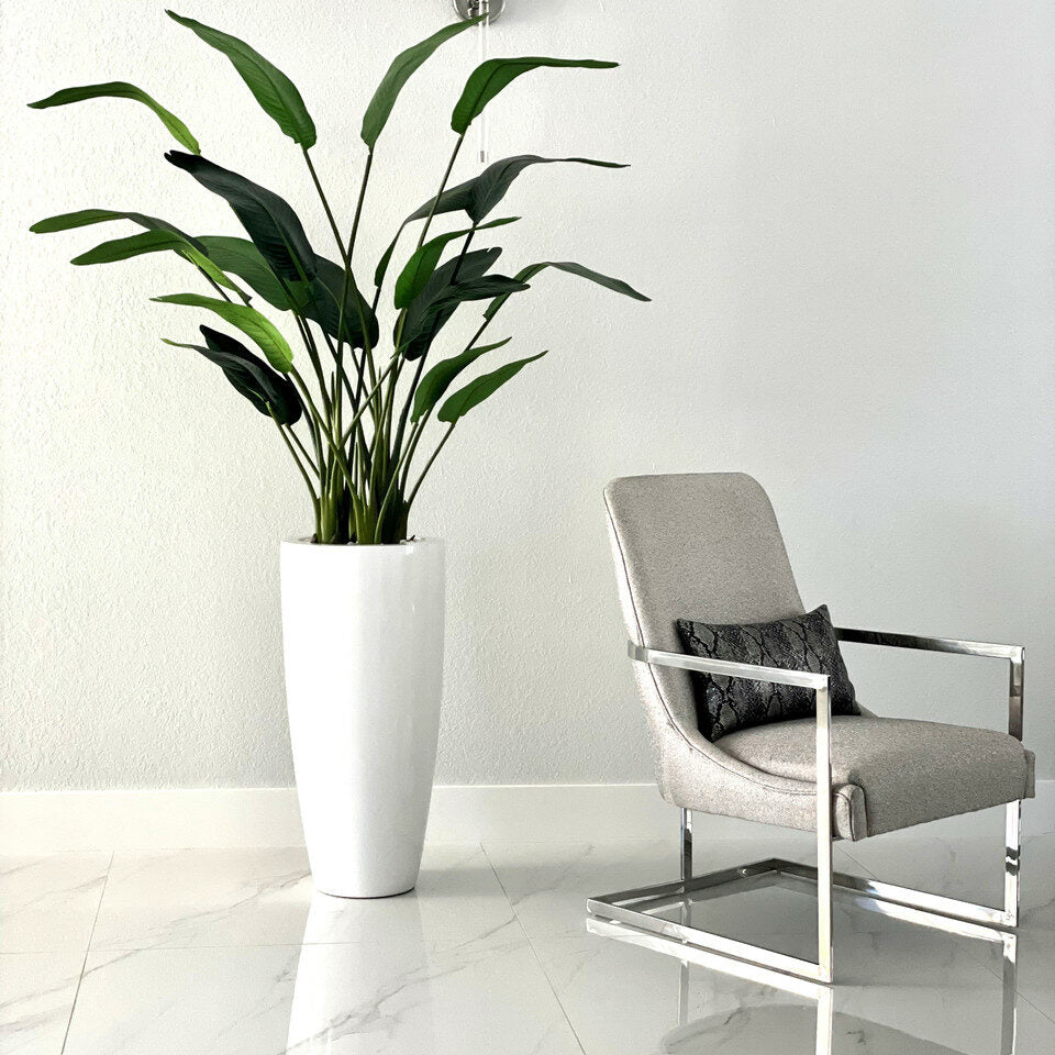 2.1 m Bird of Paradise Plant with Dax L Pot – Evervale