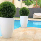 Topiary in Ben Planter – 51 cm Fiberglass – Evervale