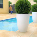 Topiary in Ben Planter – 51 cm Fiberglass – Evervale