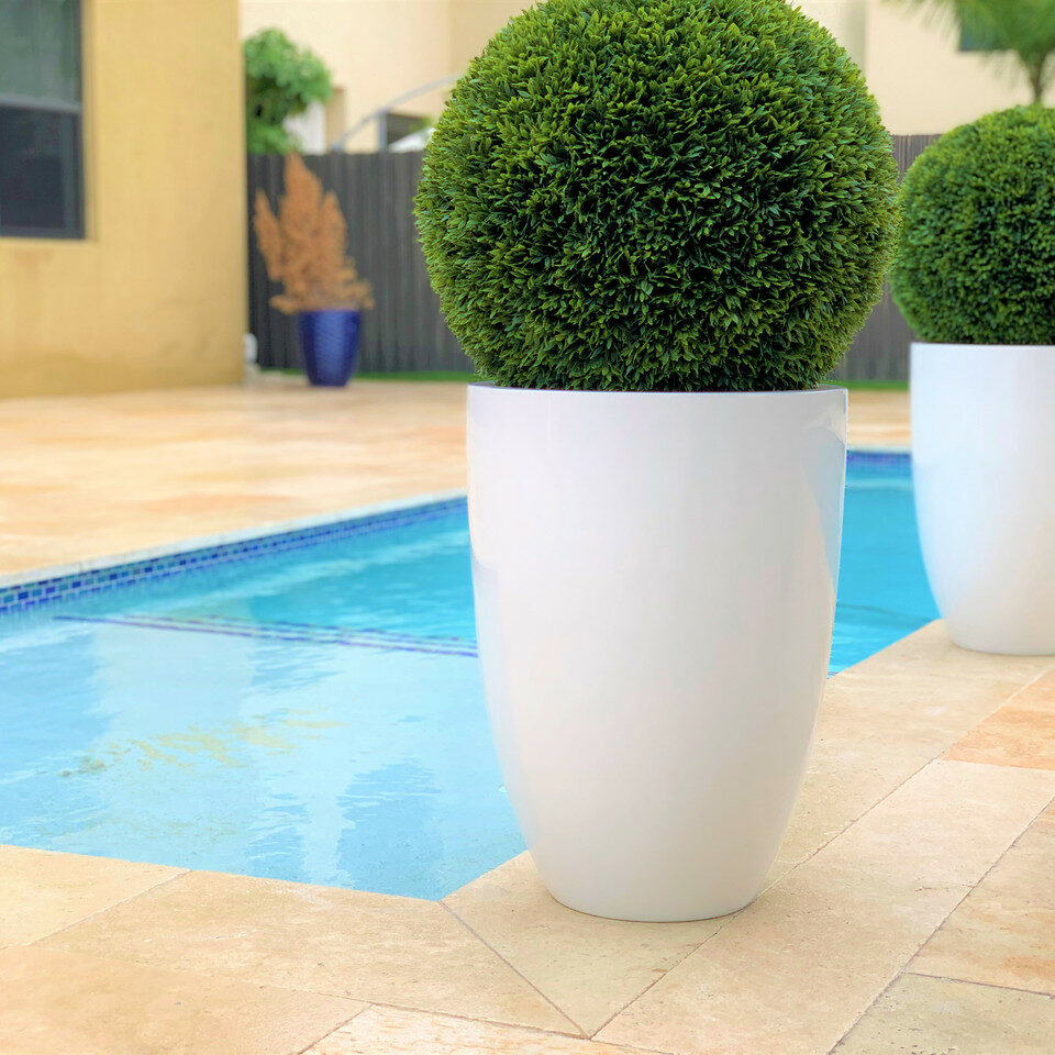 Topiary in Ben Planter – 51 cm Fiberglass – Evervale