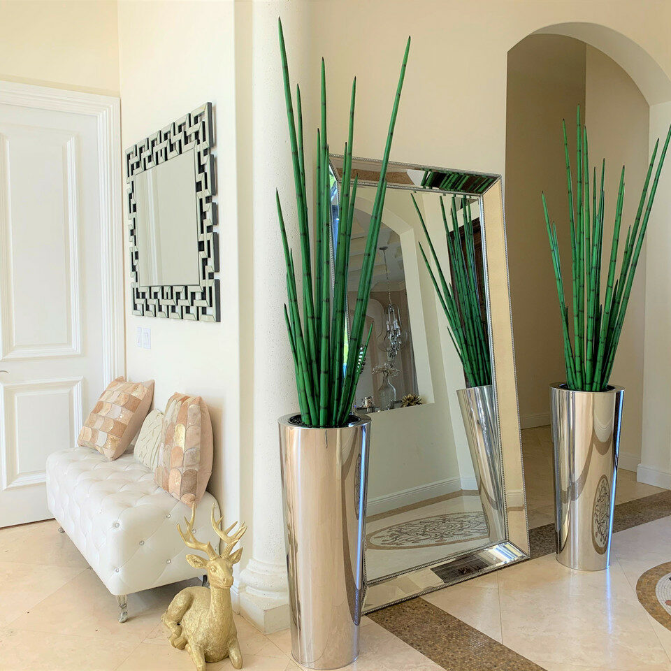 Large Polished Stainless Steel Cone Vase with Large Snake Grass Plant – Evervale