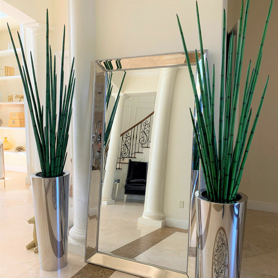 Large Polished Stainless Steel Cone Vase with Large Snake Grass Plant – Evervale