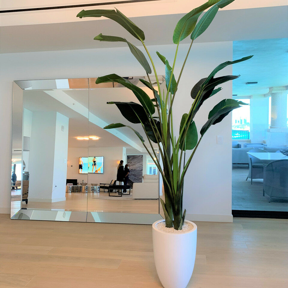 2.74 m Bird of Paradise with Ben Pot in Glossy White – Evervale