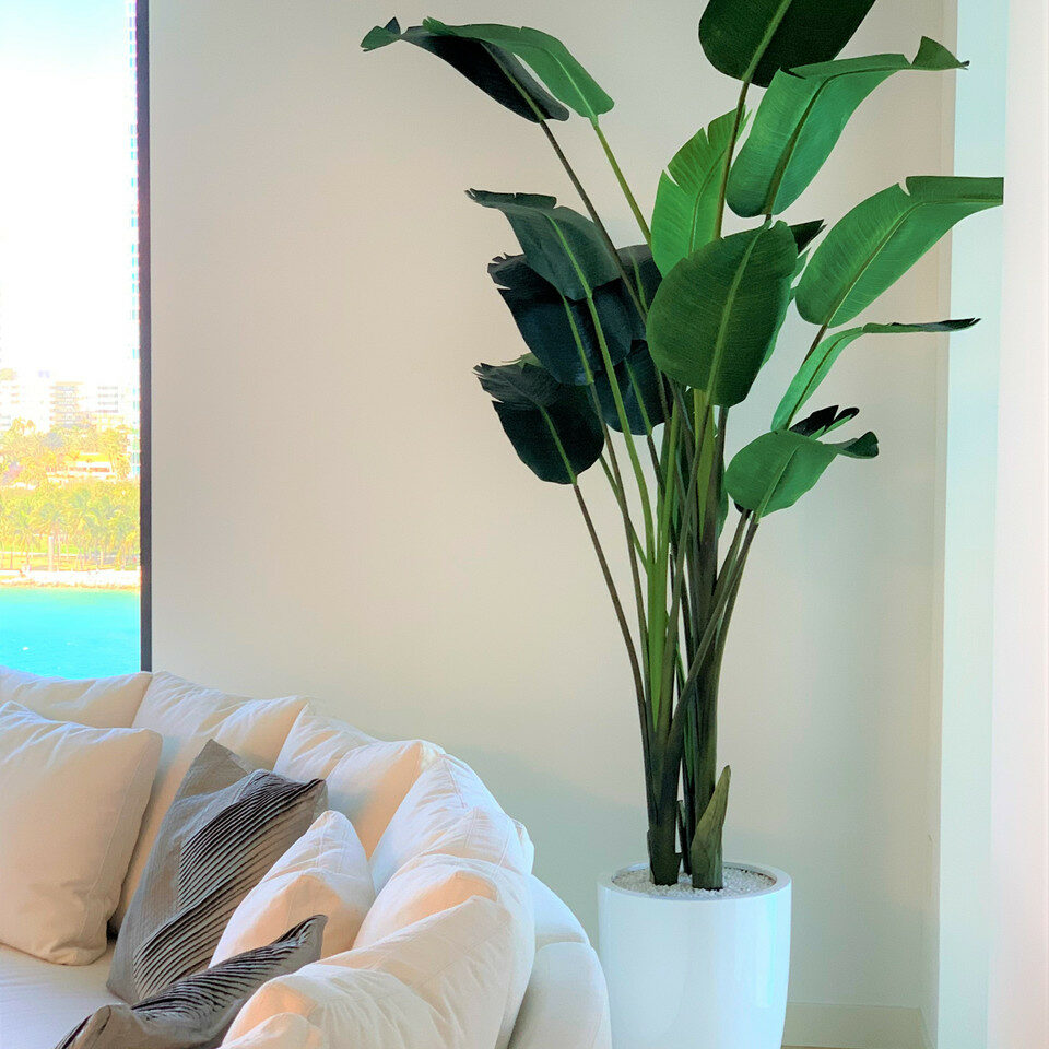 2.74 m Bird of Paradise with Ben Pot in Glossy White – Evervale