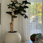 Bonsai Tree in Globe-Shaped Planter – 180 cm, Satin Beige – Evervale
