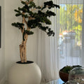 Bonsai Trail in Satin Beige Globe 30" – Evervale