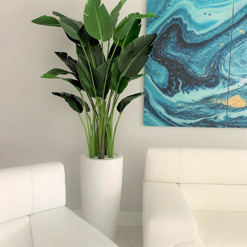 2.1 m Bird of Paradise Plant with Dax L Pot – Evervale