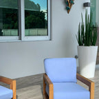 Snake Grass (1.63 m) with Belle L Planter – Evervale