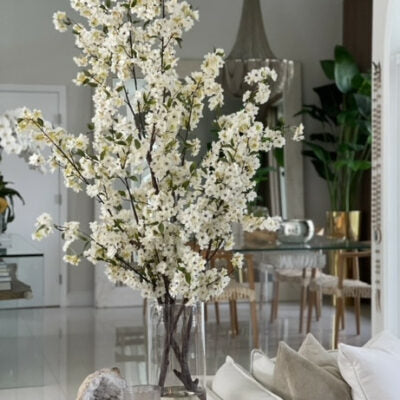 Cherry Blossom in 16" Glass Cylinder – Evervale