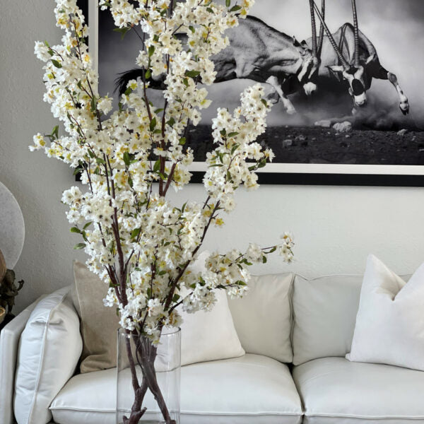 Cherry Blossom in 16" Glass Cylinder – Evervale