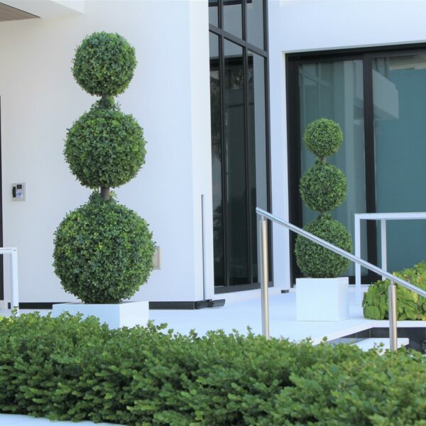 Triple Ball Topiary with Medium Block Fiberglass Planter – Evervale