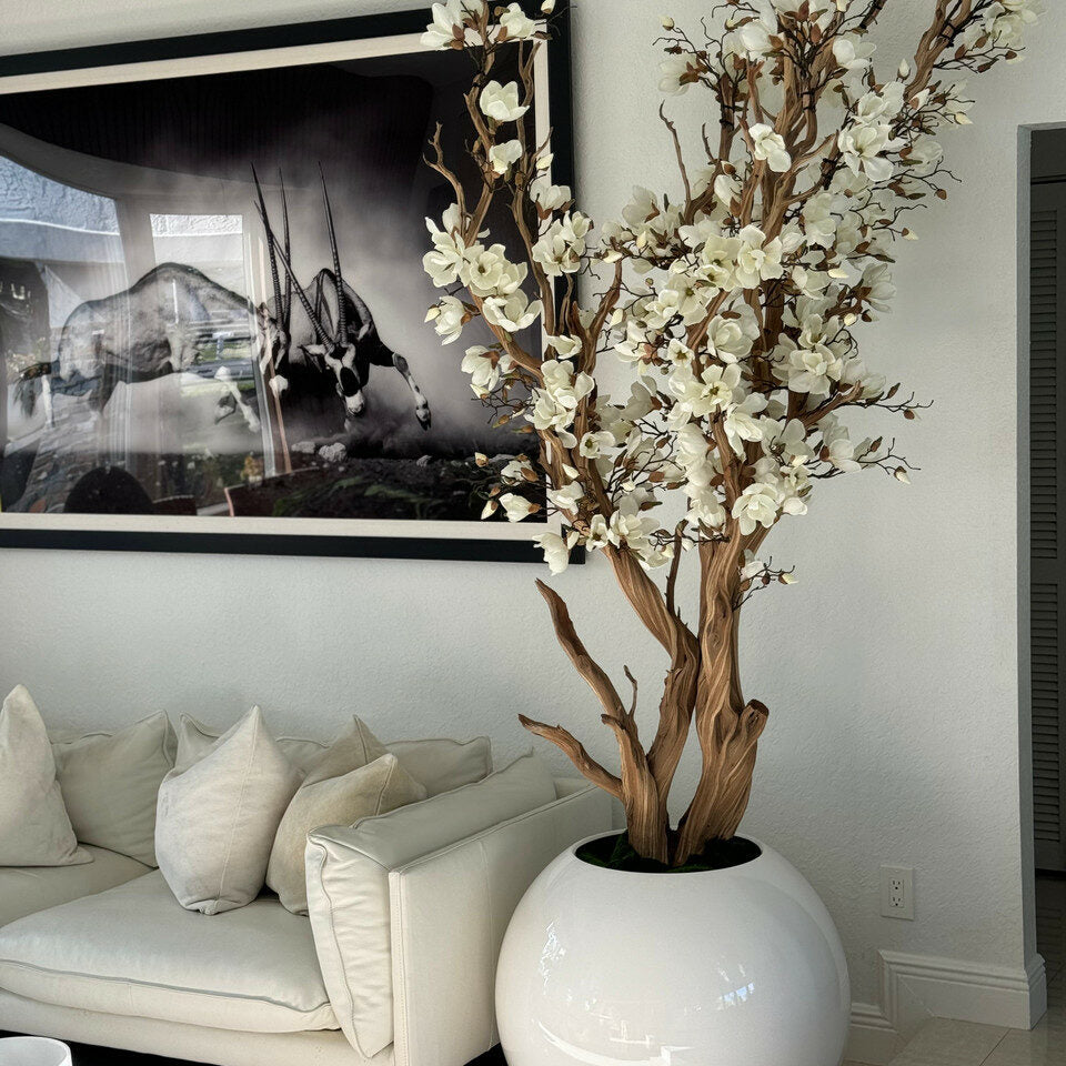 White Magnolia Tree in 126 cm Shiny White Globe Pot – Evervale