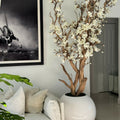 White Magnolia Tree in 126 cm Shiny White Globe Pot – Evervale