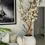 White magnolia tree in shiny white globe pot, 76 cm – Evervale