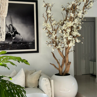 White magnolia tree in shiny white globe pot 30" – Evervale