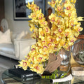 Yellow Cymbidiums in Lunar Pot – Evervale
