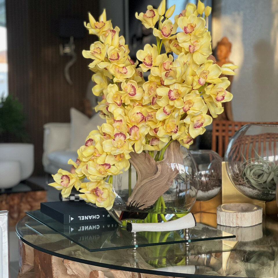 Yellow Cymbidiums in Lunar Pot – Evervale