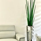 Large, Polished Stainless Steel Pot with Large Snake Grass Plant – Evervale