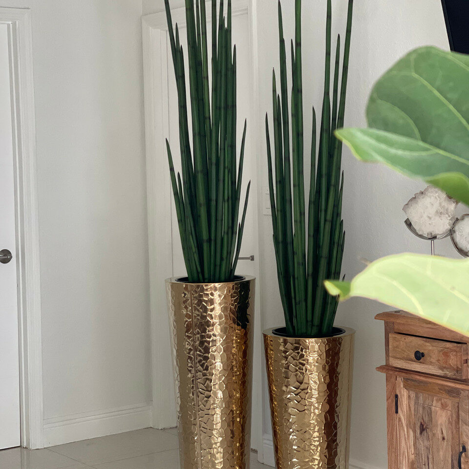 Conical Vase made of Gold-Colored Stainless Steel with Large Snake Grass – Evervale