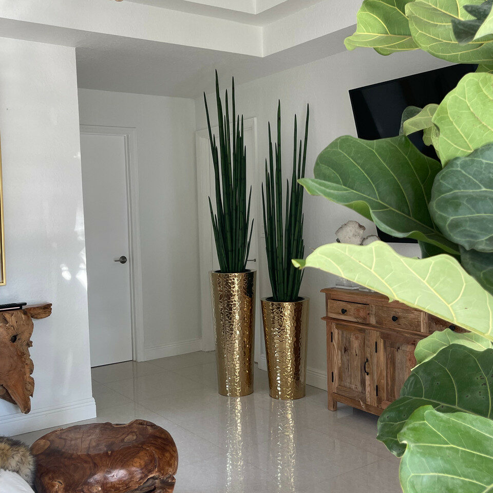 Gold Stainless Steel Cone Vase with Large Snake Grass Plant – Evervale