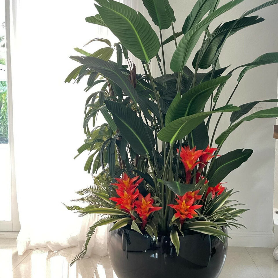 Black Terragona Tropical Plant Mix – Evervale