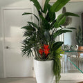 Tropical Plant Arrangement in Brannan Planter – Glossy White – Evervale