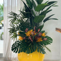 Mix of Tropical Plants in Yellow Globe Pot – Evervale