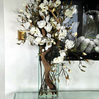 Magnolia Trees