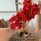 Red Cymbidiums in Moon Vase – Evervale