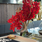 Red Cymbidium Orchids in Moon Planter – Evervale