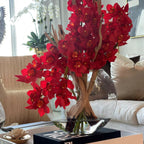 Red Cymbidium Orchids in Moon Planter – Evervale