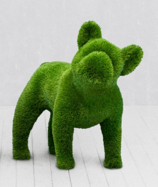 French Bulldog Topiary – Evervale