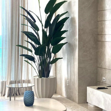 Santa Bárbara Beige Matte Planter with Bird of Paradise – Evervale
