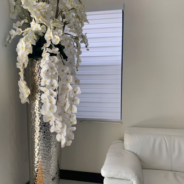 Phalaenopsis Orchids in Extra Tall Hammered Pot – Evervale